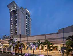 Due Diligence Report APL